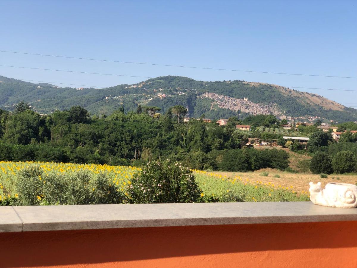 Dreams Valley Valmontone Luaran gambar