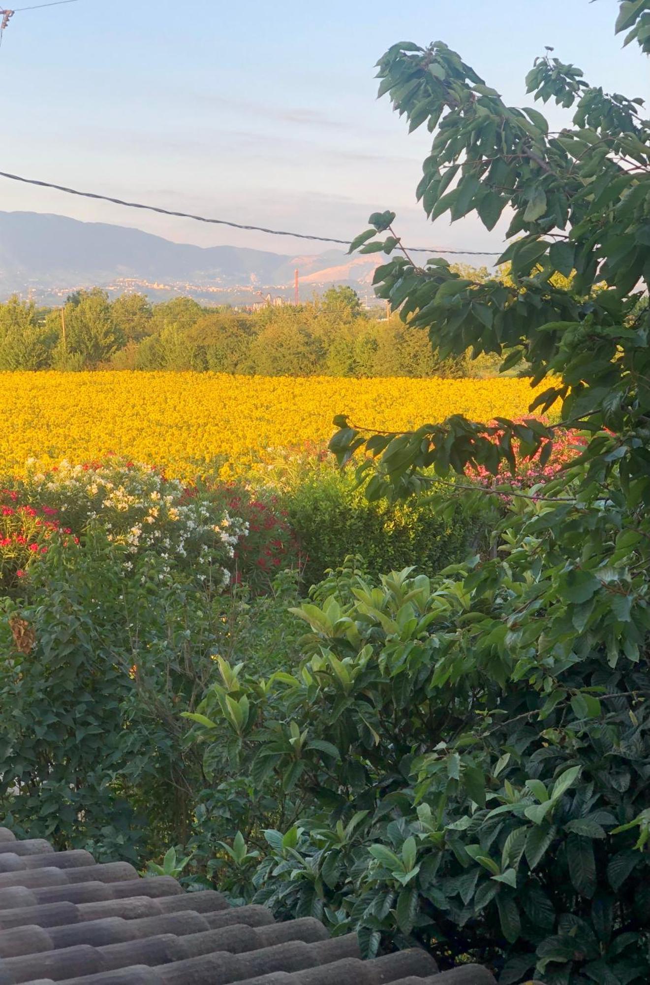 Dreams Valley Valmontone Luaran gambar
