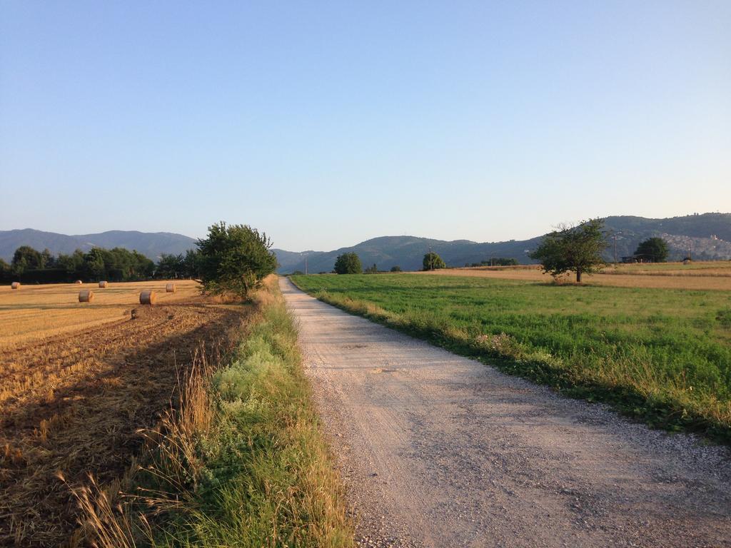 Dreams Valley Valmontone Luaran gambar