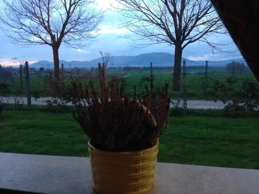Dreams Valley Valmontone Luaran gambar